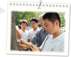 薬用植物園見学　写真