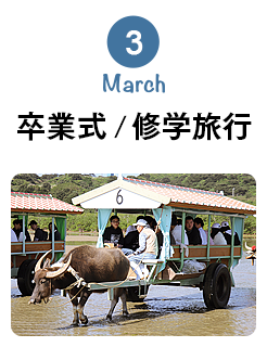 3月 March 卒業式 / 修学旅行