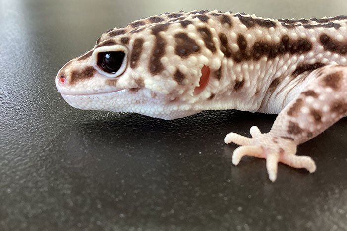 生物部1