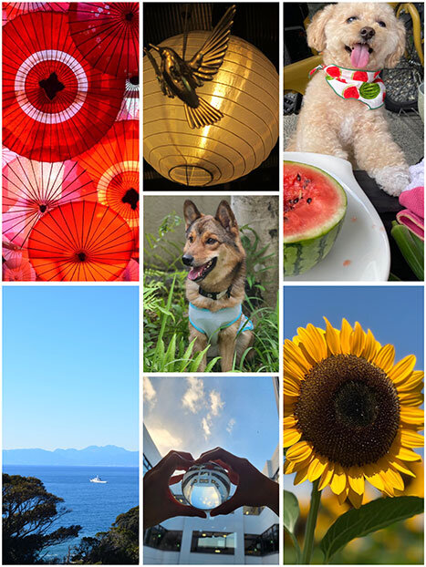 写真部