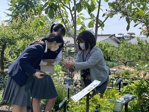 写真