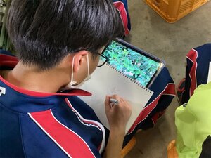 写真