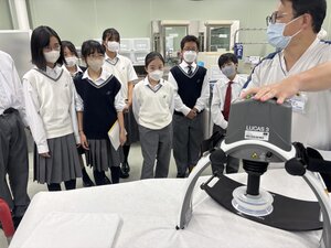 写真