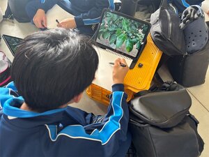 写真
