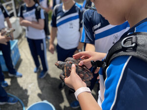 写真