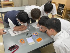 写真